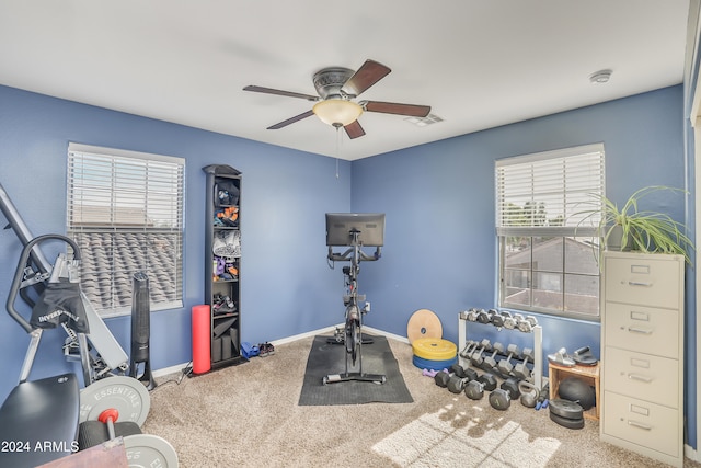 exercise area with carpet flooring, a wealth of natural light, and ceiling fan