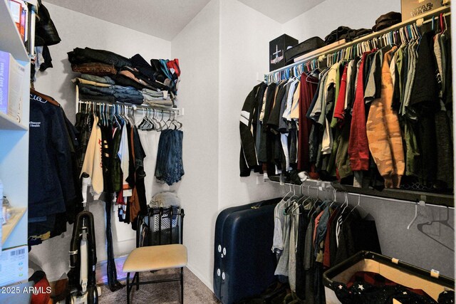 walk in closet with carpet