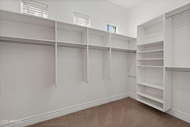 3215 E Constance Way, Phoenix, AZ 85042 - spacious closet featuring dark colored carpet