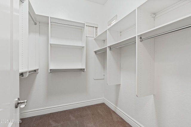 3215 E Constance Way, Phoenix, AZ 85042 - walk in closet with dark carpet