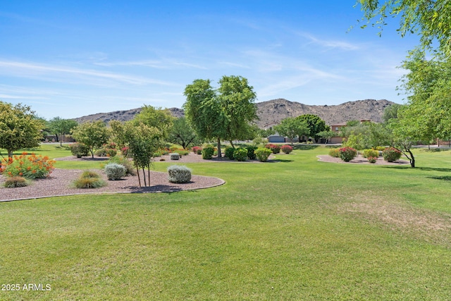 3215 E Constance Way, Phoenix, AZ 85042 - view of green lawn with a mountain view