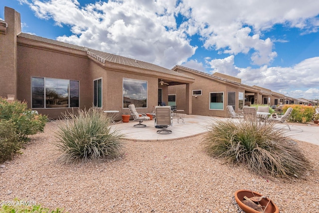 rear view of house featuring a patio and stucco siding