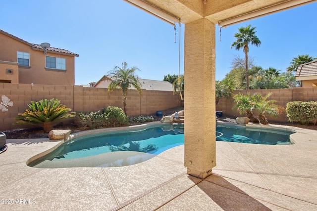 view of swimming pool featuring a fenced in pool, a patio area, and a fenced backyard