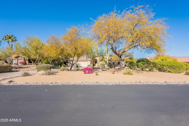 view of yard with driveway and an attached garage