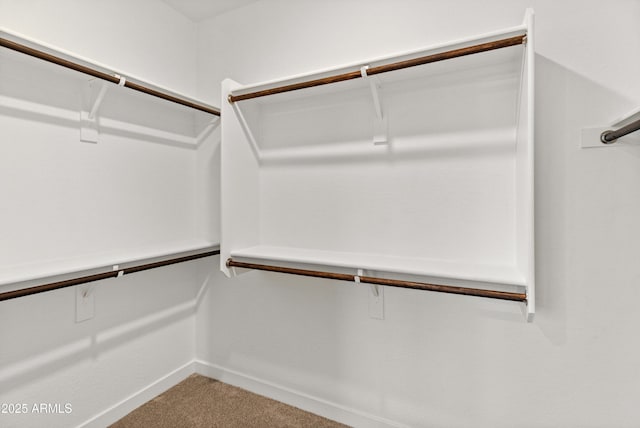 walk in closet with carpet