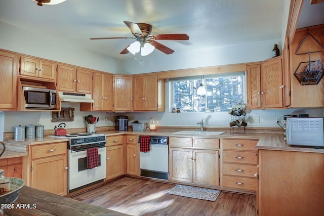 kitchen with white appliances, light wood-style floors, light countertops, under cabinet range hood, and a sink