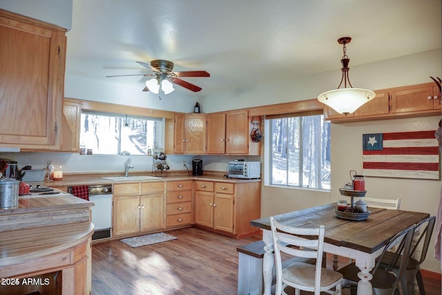 kitchen with light countertops, hanging light fixtures, light wood-style flooring, a sink, and dishwasher