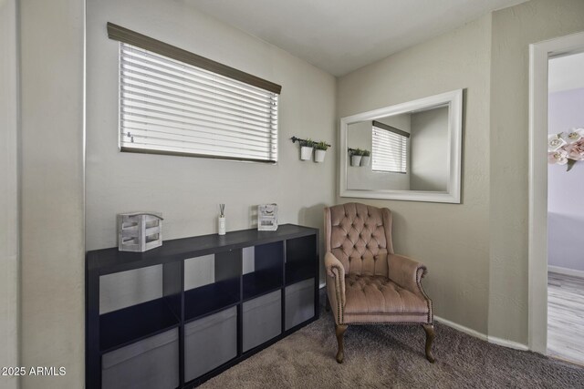 sitting room with baseboards and carpet flooring
