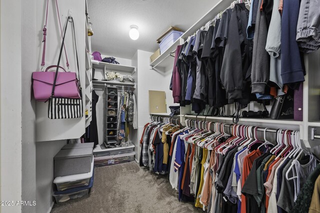 spacious closet with carpet floors