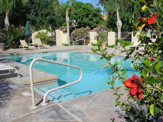 pool featuring a patio area and fence