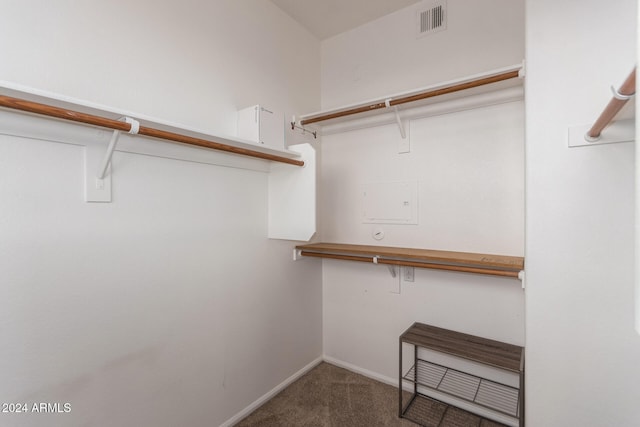 spacious closet featuring carpet