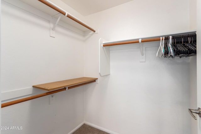 walk in closet featuring carpet flooring