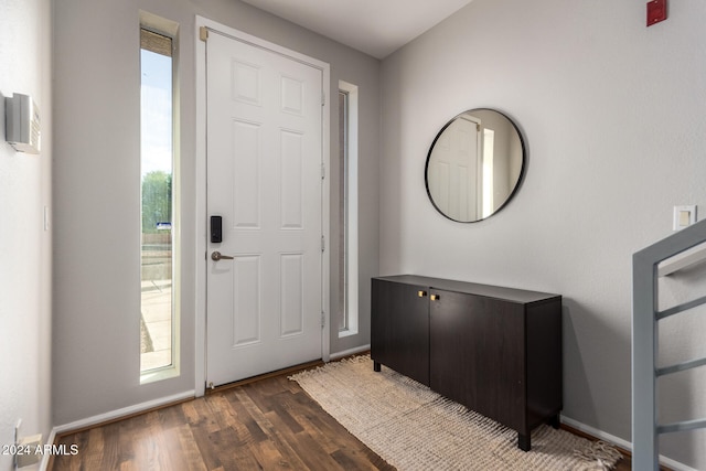 entrance foyer featuring a wealth of natural light and dark hardwood / wood-style flooring