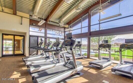 2009 E Lindrick Dr, Gilbert, AZ 85298 - workout area with a high ceiling, carpet floors, and healthy amount of natural light