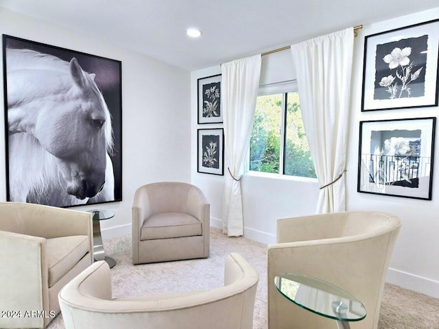 sitting room featuring carpet floors