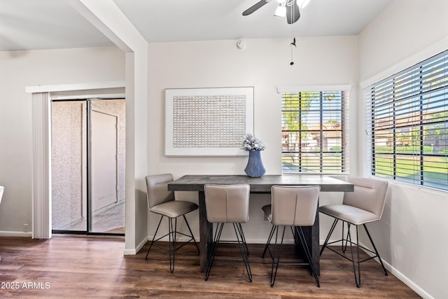 930 N Mesa Dr Unit 1079, Mesa, AZ 85201 - dining room with baseboards, a wealth of natural light, and wood finished floors