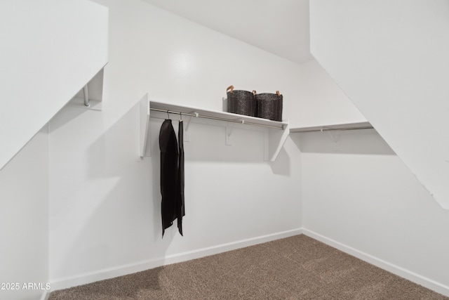 walk in closet with carpet floors