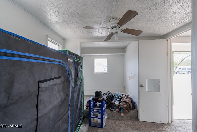 clothes washing area featuring carpet floors, a textured ceiling, and a ceiling fan