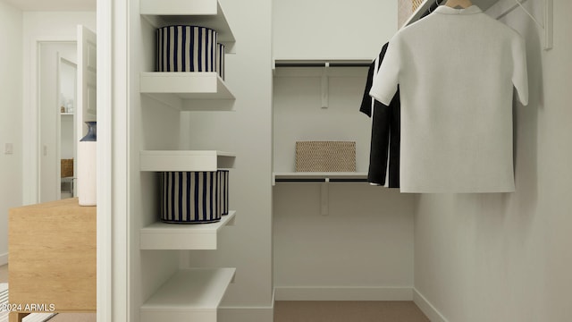 view of walk in closet