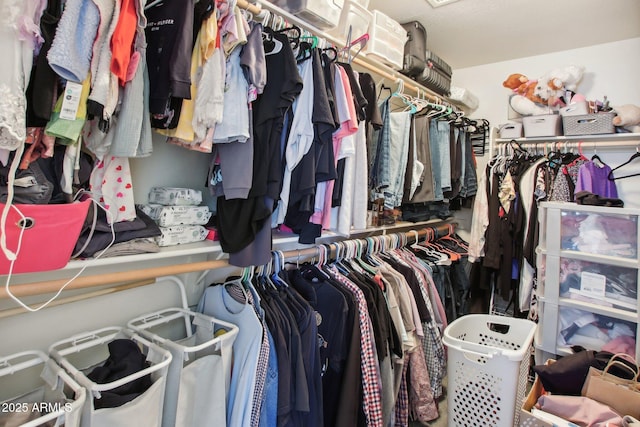 view of walk in closet