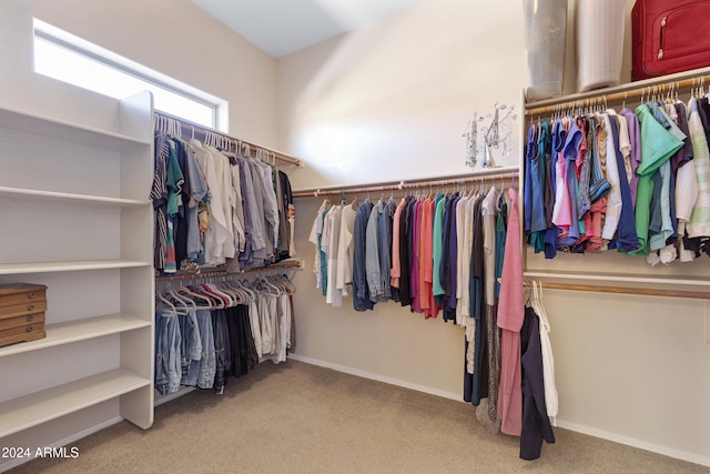 spacious closet featuring light colored carpet