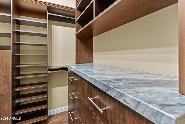 spacious closet featuring dark wood-style flooring