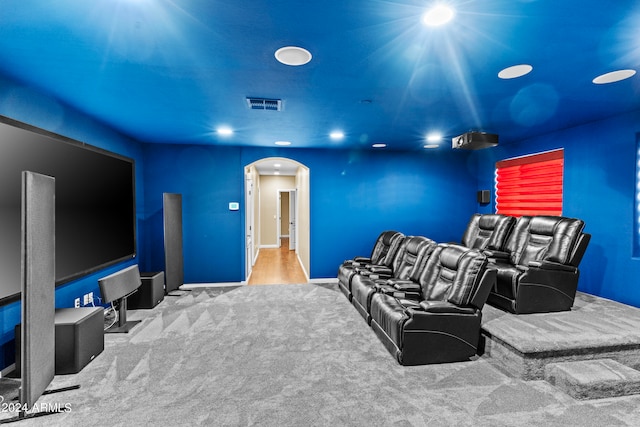 view of carpeted home theater