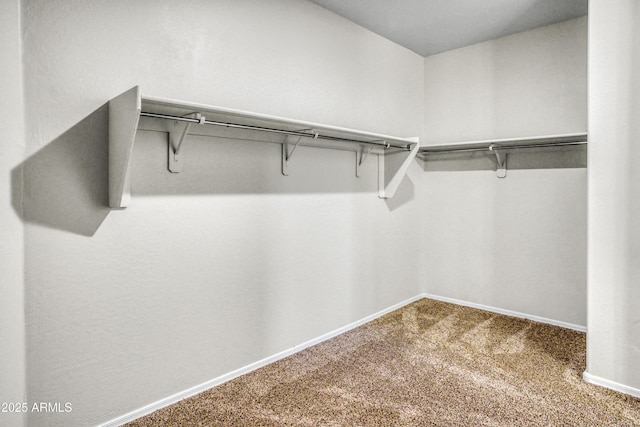 walk in closet featuring carpet