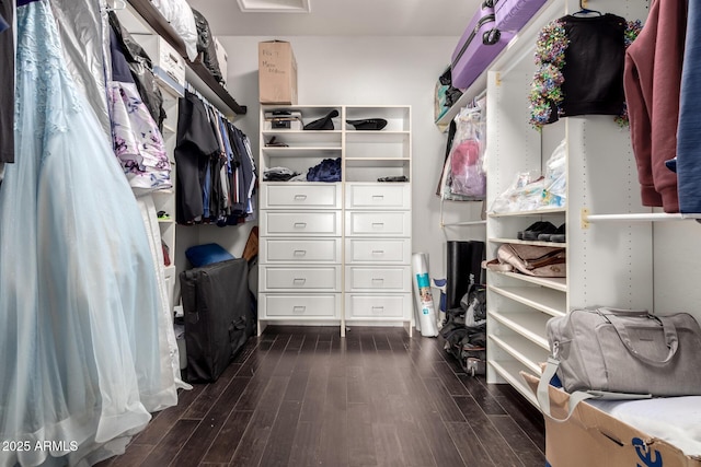 walk in closet featuring dark hardwood / wood-style flooring