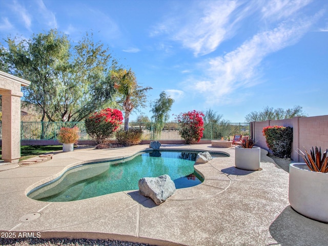 view of pool featuring a patio area