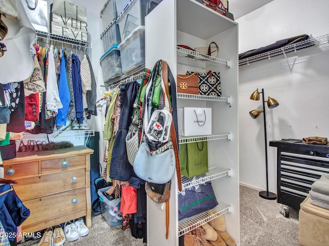 walk in closet with carpet