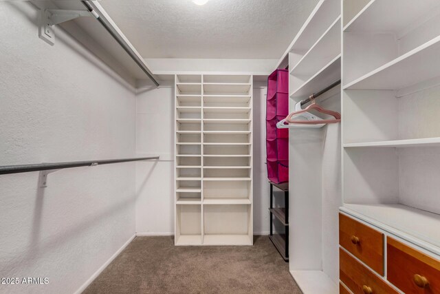 3377 W Grandview Rd, Phoenix, AZ 85053 - walk in closet featuring carpet floors