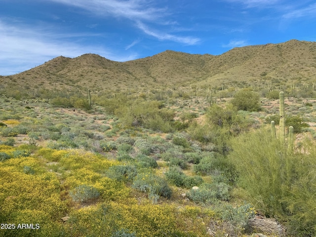 mountain view