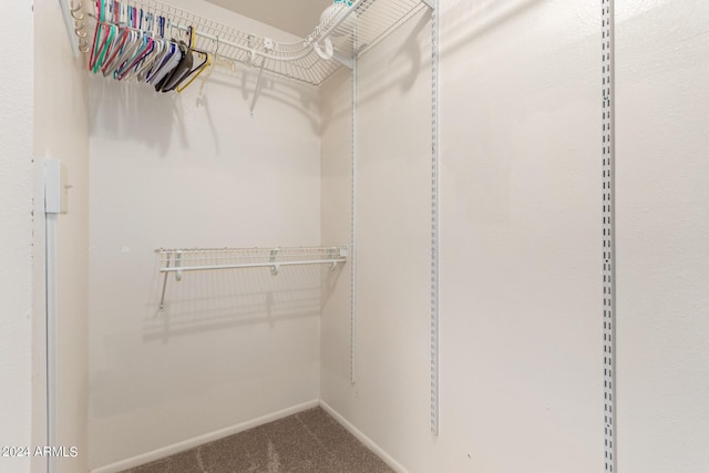 spacious closet featuring carpet