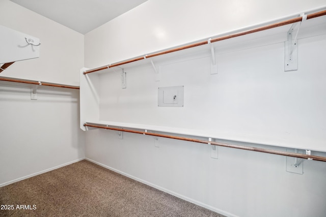 19245 W Pasadena Ave, Litchfield Park, AZ 85340 - spacious closet featuring carpet and electric panel