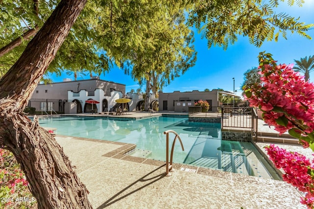 view of swimming pool with a patio area