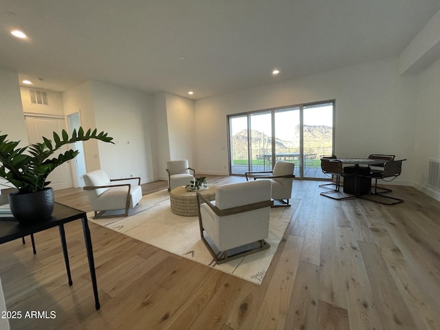 living room featuring a mountain view and light wood-type flooring