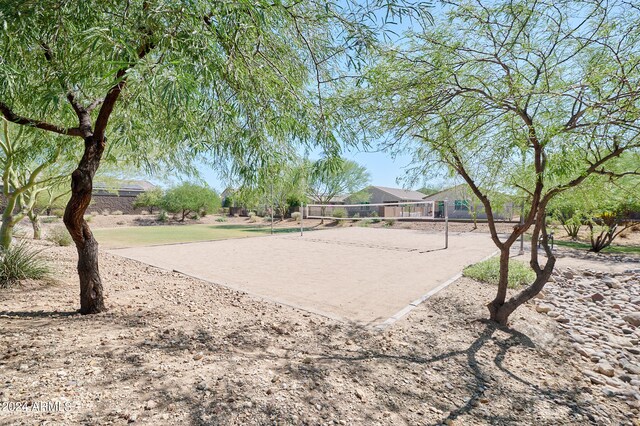 surrounding community with volleyball court