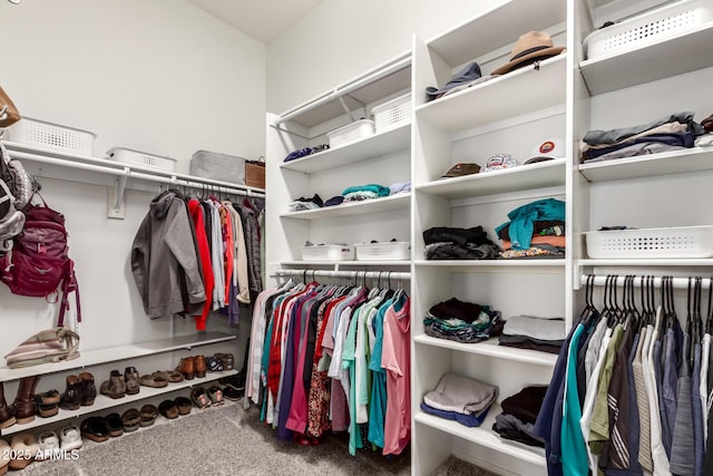spacious closet with carpet