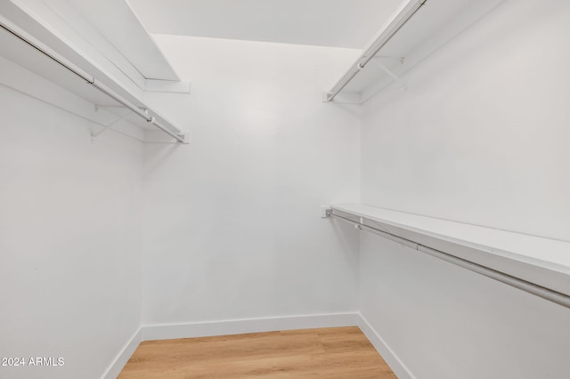 spacious closet with hardwood / wood-style flooring