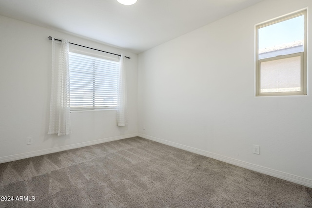 carpeted empty room with a wealth of natural light