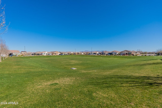 view of community featuring a yard