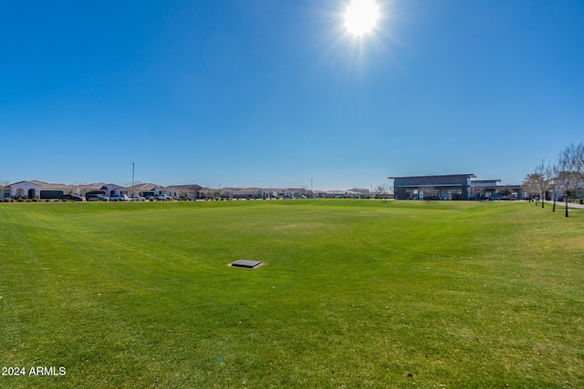 view of community with a yard