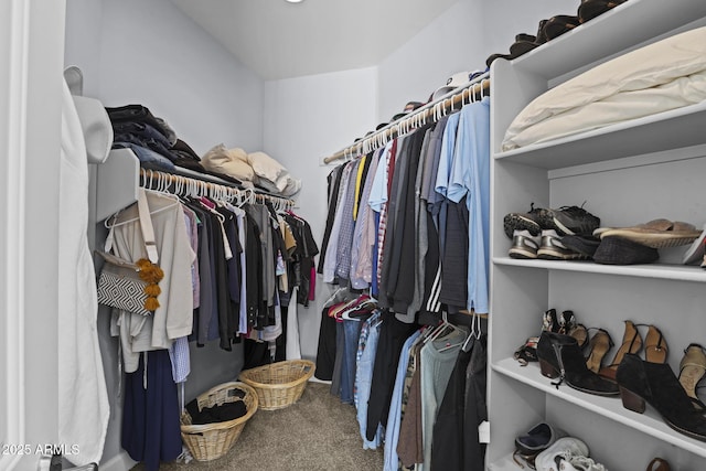 walk in closet with carpet floors