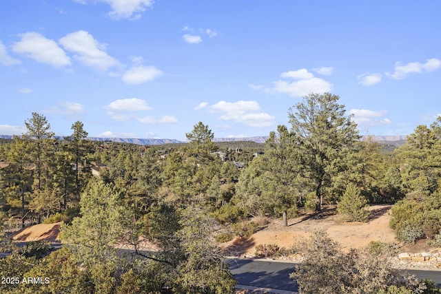 mountain view featuring a view of trees