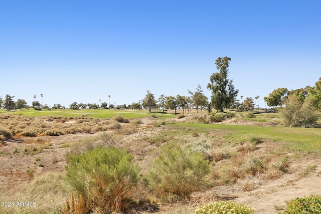 view of local wilderness featuring a rural view