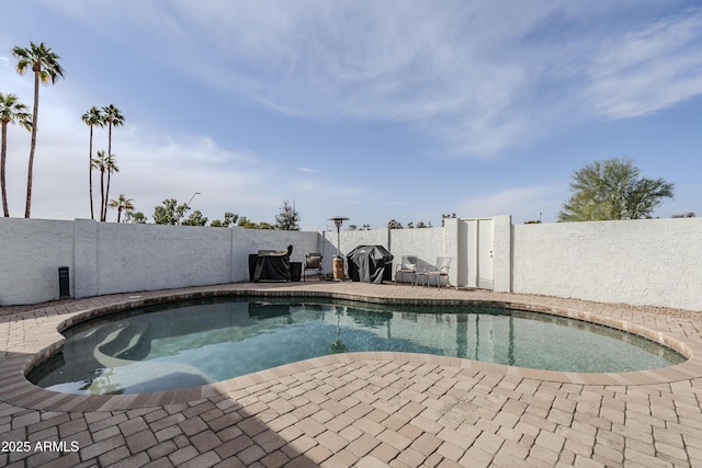 view of swimming pool featuring a grill