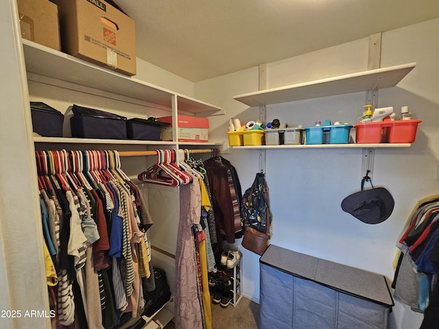 walk in closet with carpet floors