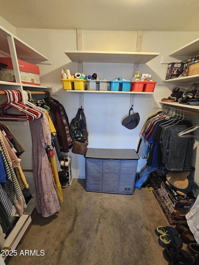 walk in closet with carpet