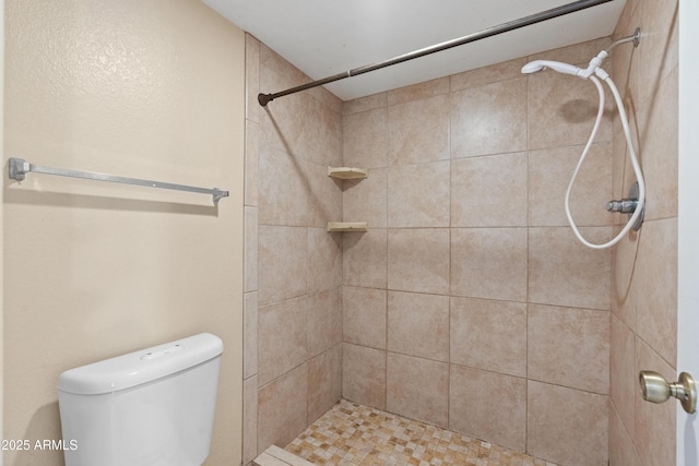 bathroom with toilet and a stall shower